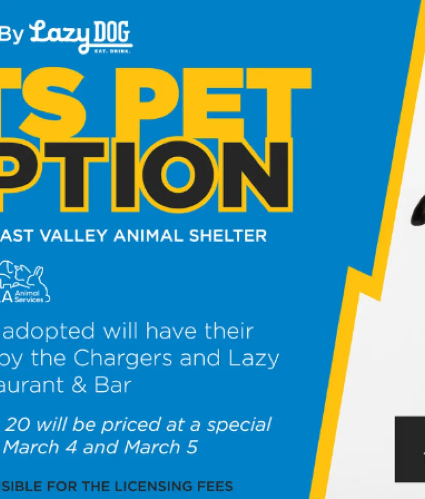 12 Noon RibbonCutting at East Valley to Unveil New Play Yards